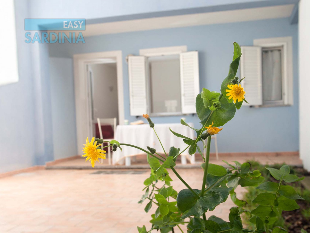 2 Camere da Letto, 4 Stanze, Appartamento, Affitto case vacanza, 1 Bagni, vista mare centro storico ID Annuncio 1149