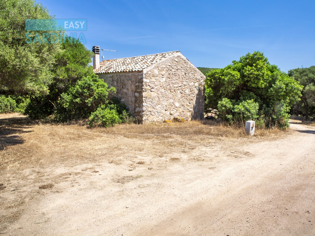 Petra di Cossi, Santa Teresa Gallura, SS, Sardegna, Italy, ,4 BagniBagni,Tenuta,In vendita,1379