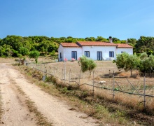 Petra di Cossi, Santa Teresa Gallura, SS, Sardegna, Italy, ,4 BagniBagni,Tenuta,In vendita,1379