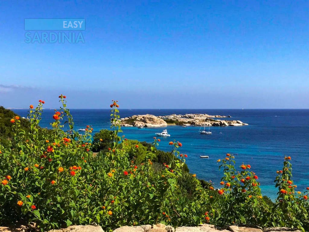 La Marmorata, Santa Teresa Gallura, SS, Sardegna, Italy, 1 Camera da Letto Camere da Letto, 2 Stanze Stanze,1 BagnoBagni,Bilocale,In vendita,1383