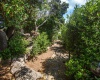 Via Tramontana, La Filetta, Santa Teresa Gallura, SS, Sardegna, Italy, 5 Camere da Letto Camere da Letto, 7 Stanze Stanze,4 BagniBagni,Villa,In vendita,Via Tramontana,1464