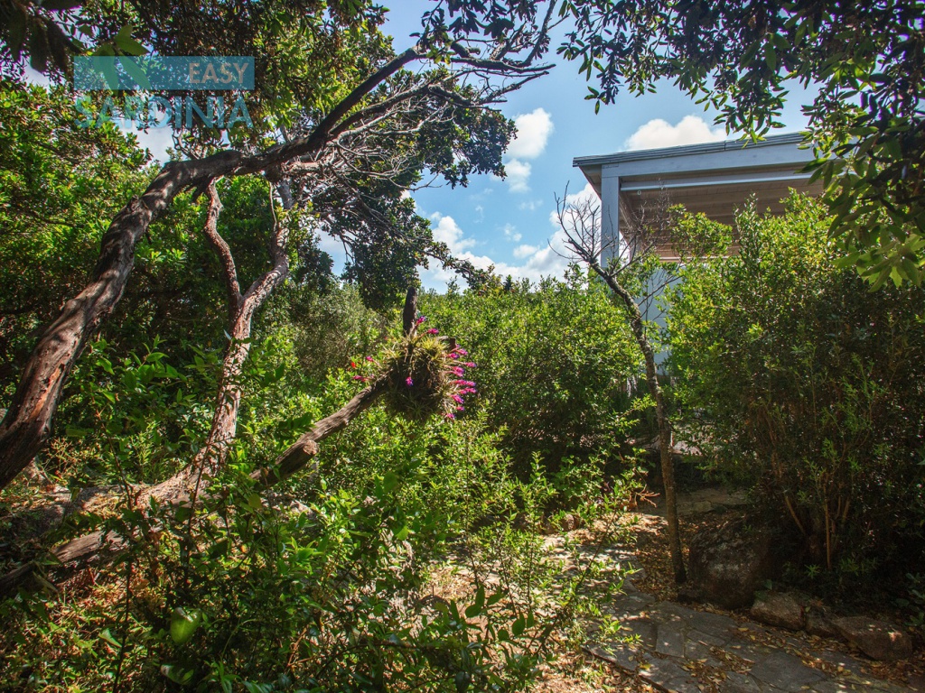 Via Tramontana, La Filetta, Santa Teresa Gallura, SS, Sardegna, Italy, 5 Camere da Letto Camere da Letto, 7 Stanze Stanze,4 BagniBagni,Villa,In vendita,Via Tramontana,1464
