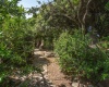 Via Tramontana, La Filetta, Santa Teresa Gallura, SS, Sardegna, Italy, 5 Camere da Letto Camere da Letto, 7 Stanze Stanze,4 BagniBagni,Villa,In vendita,Via Tramontana,1464