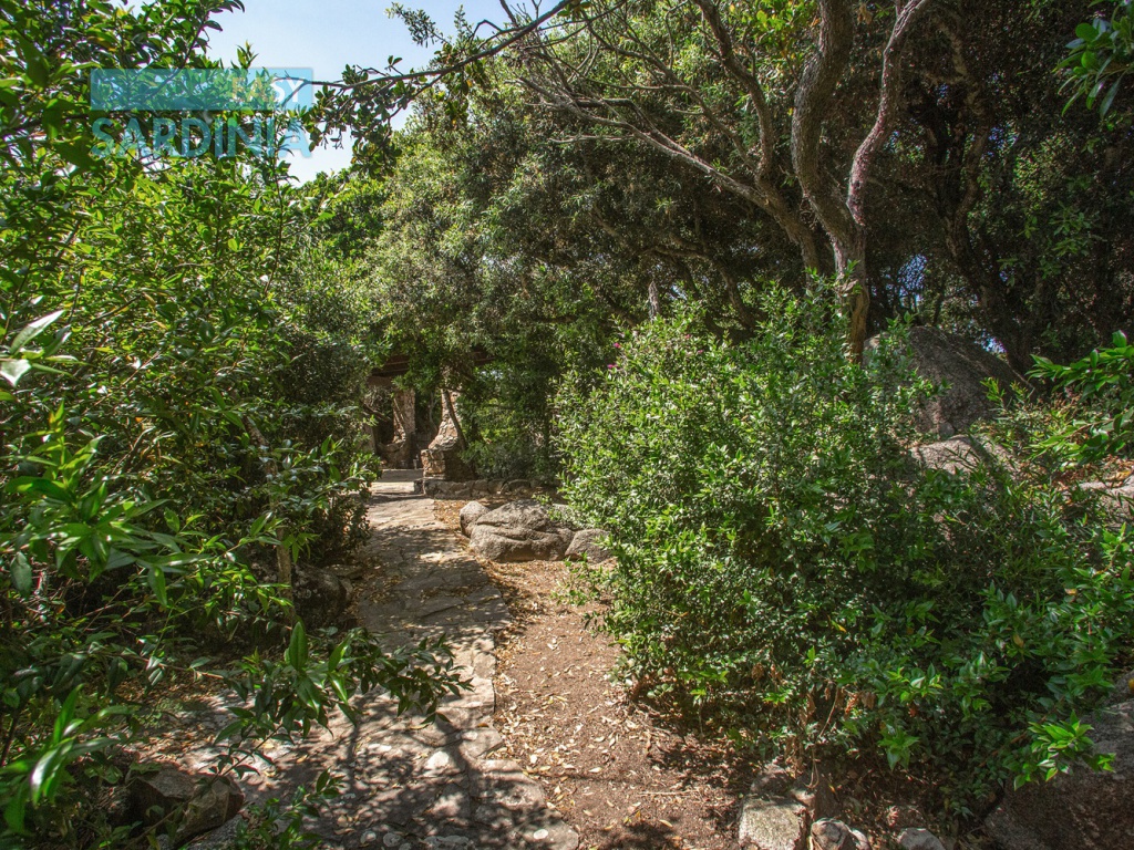 Via Tramontana, La Filetta, Santa Teresa Gallura, SS, Sardegna, Italy, 5 Camere da Letto Camere da Letto, 7 Stanze Stanze,4 BagniBagni,Villa,In vendita,Via Tramontana,1464
