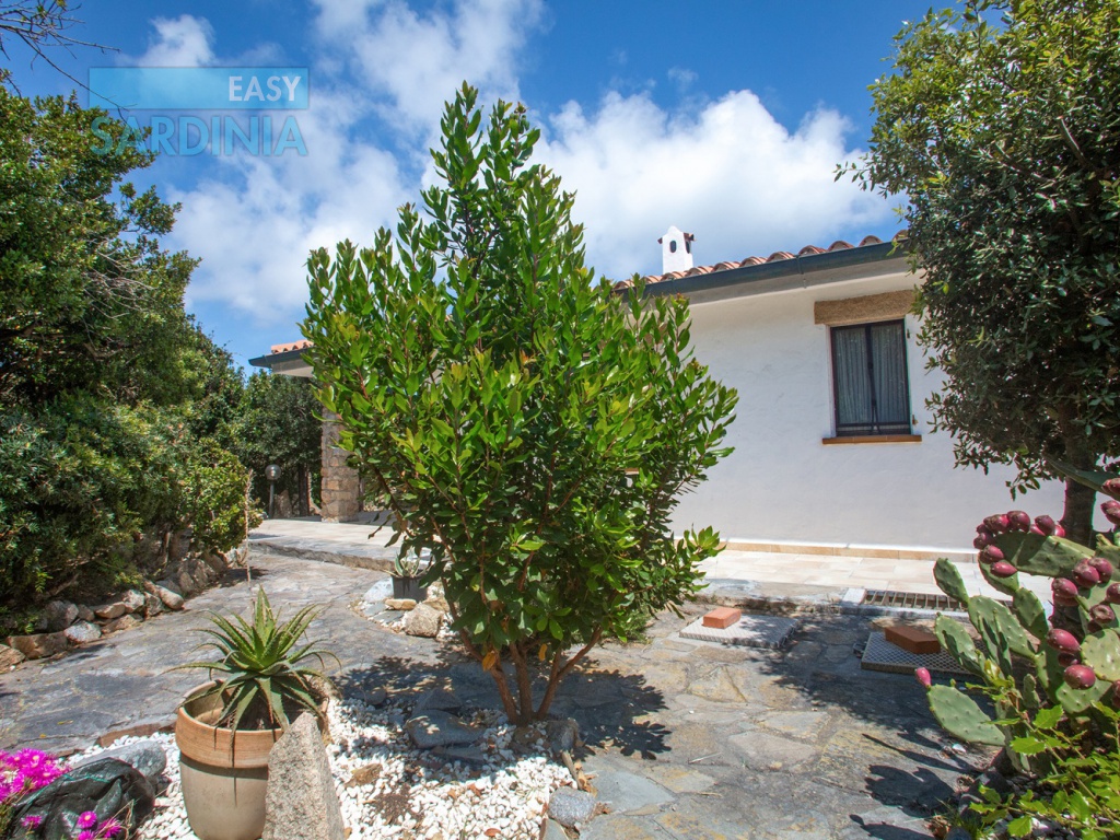 Via Tramontana, La Filetta, Santa Teresa Gallura, SS, Sardegna, Italy, 5 Camere da Letto Camere da Letto, 7 Stanze Stanze,4 BagniBagni,Villa,In vendita,Via Tramontana,1464