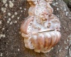 Via delle Costellazioni, Baia Santa Reparata, Santa Teresa Gallura, SS, Sardegna, Italy, 1 Camera da Letto Camere da Letto, 2 Stanze Stanze,1 BagnoBagni,Villetta a schiera,In vendita,Via delle Costellazioni,1469