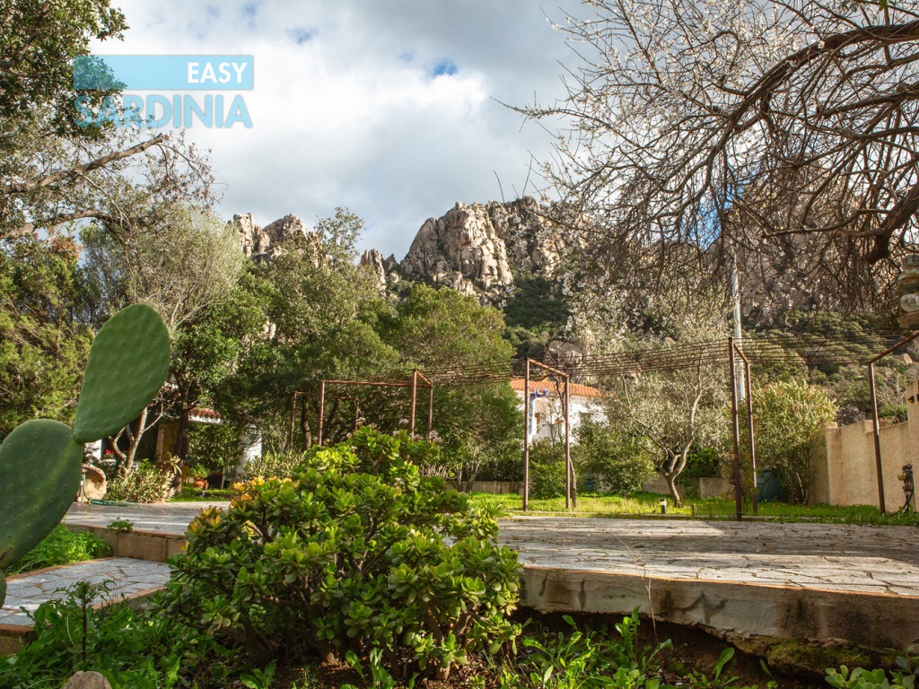 Via Amalfi, San Pantaleo, Olbia, SS, Sardegna, Italy, 4 Camere da Letto Camere da Letto, 8 Stanze Stanze,4 BagniBagni,Villa,In vendita,Via Amalfi,1481