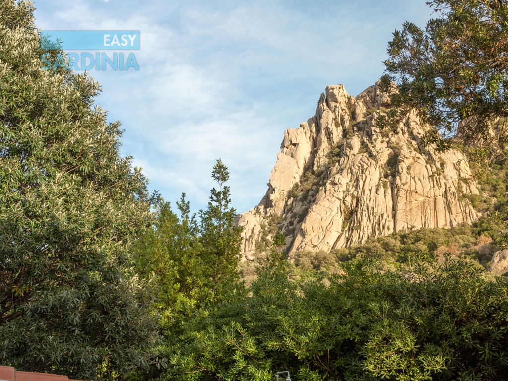 Via Amalfi, San Pantaleo, Olbia, SS, Sardegna, Italy, 4 Camere da Letto Camere da Letto, 8 Stanze Stanze,4 BagniBagni,Villa,In vendita,Via Amalfi,1481
