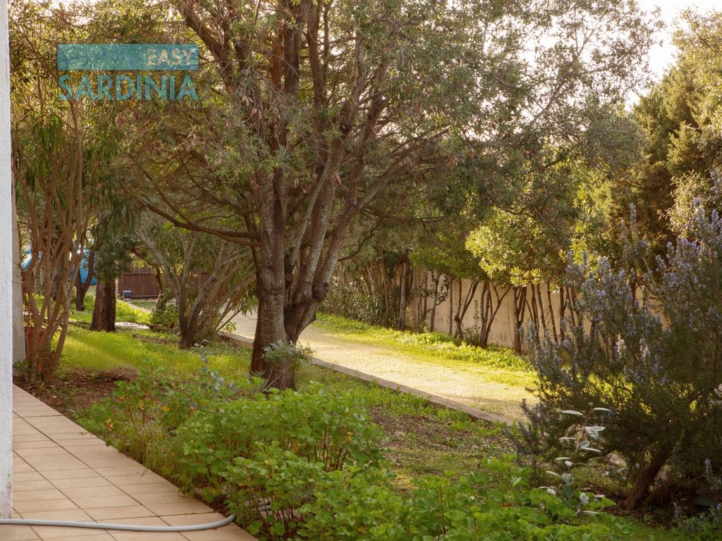 Via Amalfi, San Pantaleo, Olbia, SS, Sardegna, Italy, 4 Camere da Letto Camere da Letto, 8 Stanze Stanze,4 BagniBagni,Villa,In vendita,Via Amalfi,1481