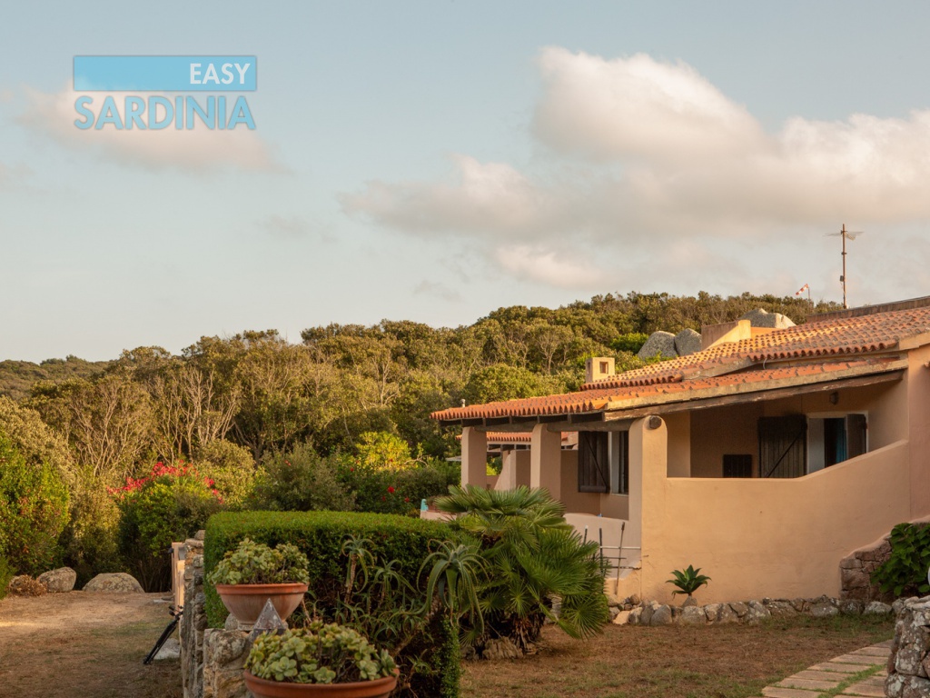 Via Razzoli, Porto Quadro, Santa Teresa Gallura, SS, Sardegna, Italy, 2 Camere da Letto Camere da Letto, 3 Stanze Stanze,2 BagniBagni,Villetta a schiera,In vendita,Via Razzoli,802487